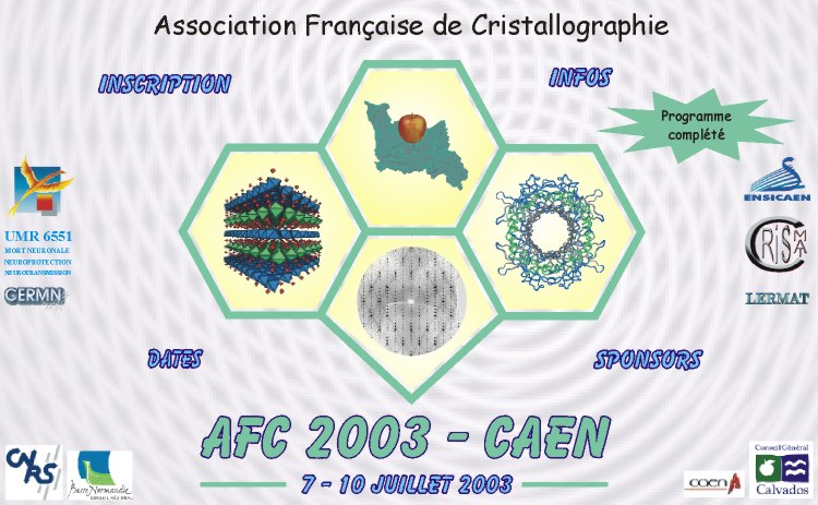 logo AFC 2003